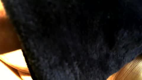 Buck online show from March 15, 2026, 3:40 pm