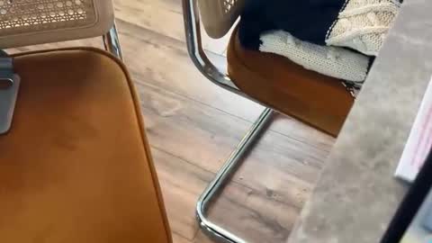 bucky58 online show from February 16, 2026, 3:30 pm