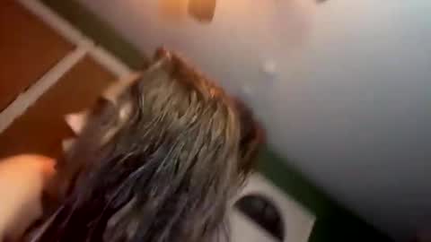 Snapshot of bugnbabs chatting on November 28, 2025, 12:57 am Yourtrippyhippy online show from November 28, 2025, 12:57 am