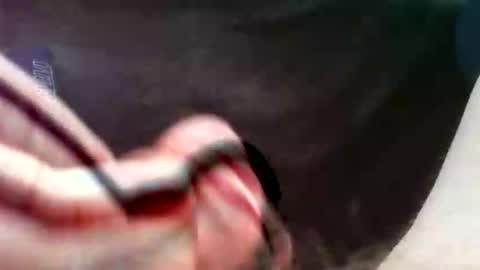 bullemoe online show from September 16, 2025, 2:51 pm