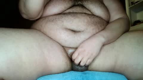 bunbbear online show from January 15, 2025, 3:29 pm