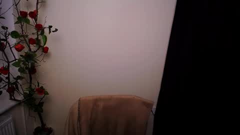 Ariel online show from March 20, 2026, 9:08 pm