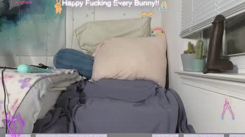 Tokki  bunny  online show from December 4, 2024, 11:24 pm