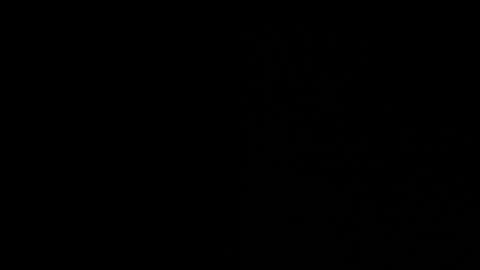 Jess online show from January 30, 2025, 6:43 pm