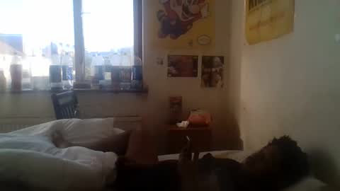 Snapshot of bustabunny chatting on October 6, 2025, 8:45 am Richabus2 online show from October 6, 2025, 8:45 am