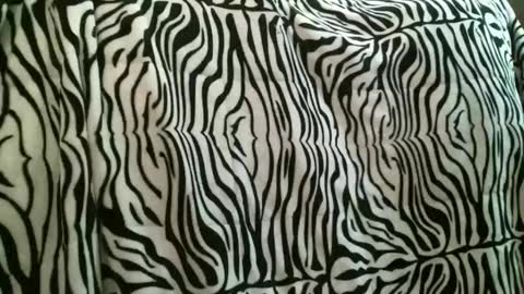 bustinfree online show from December 22, 2025, 3:53 pm