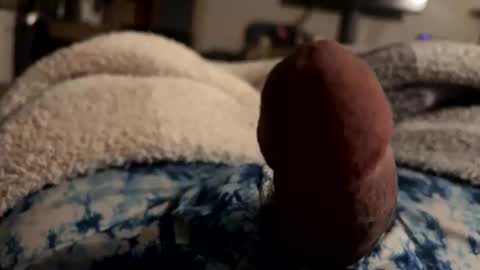 byrdbean online show from January 17, 2026, 7:46 am