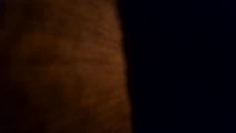 Snapshot of cabox chatting on November 5, 2025, 9:48 pm cabox online show from November 5, 2025, 9:48 pm