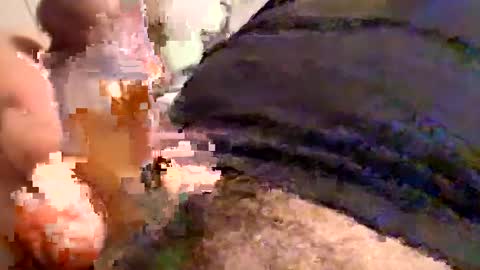 Cactus1041 online show from December 30, 2024, 5:58 am