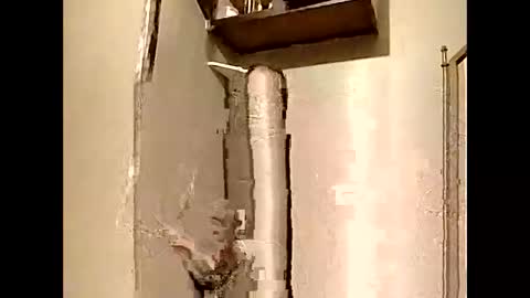 Southerncock online show from January 5, 2025, 12:31 pm