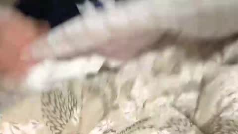 Marco online show from December 9, 2024, 8:54 pm