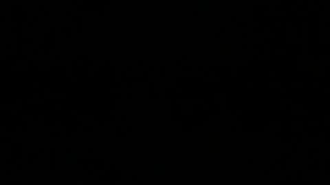 Marco online show from December 23, 2024, 1:35 pm