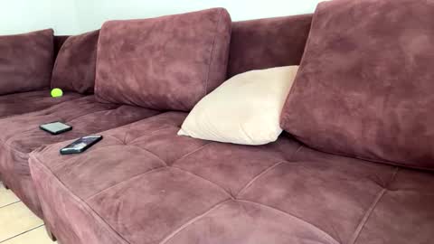 My name is Robert  Dont be shysay hi I love to chat. For requests or dirty talk please use tips  online show from February 20, 2026, 6:19 pm