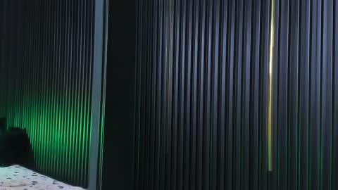 CAMERON online show from February 21, 2025, 9:02 am