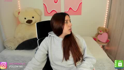 Snapshot of camila_ec2 chatting on December 19, 2024, 2:23 am C A M I online show from December 19, 2024, 2:23 am