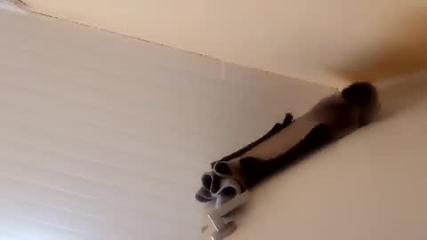 camilarubla online show from December 1, 2025, 6:46 pm