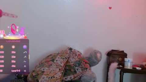 Camila online show from January 17, 2026, 1:38 pm