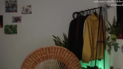  Camille   online show from February 4, 2025, 10:32 am