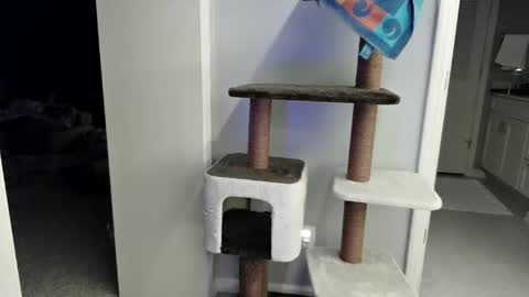 cammyman6900 online show from March 21, 2026, 4:17 am