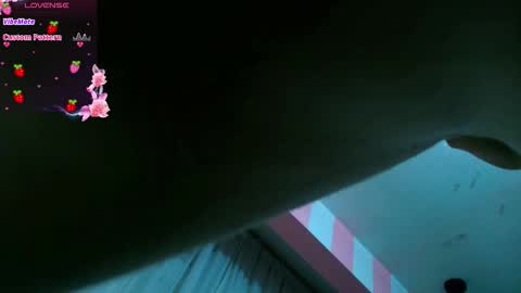 Ania online show from February 3, 2026, 11:04 am