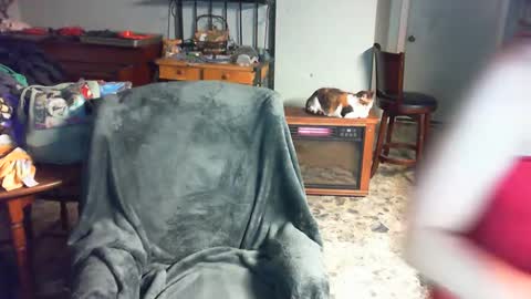 Carley online show from December 2, 2024, 3:47 am