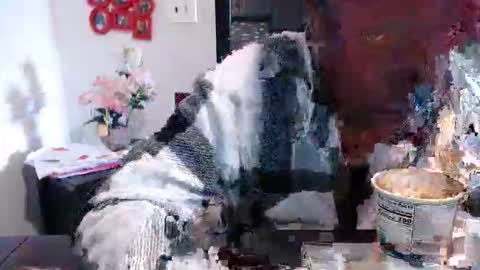 Carlie online show from March 13, 2026, 2:45 pm