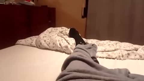 Snapshot of carlitito1 chatting on October 6, 2025, 7:17 am carlitito1 online show from October 6, 2025, 7:17 am