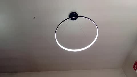 Carlos online show from February 2, 2025, 8:46 am