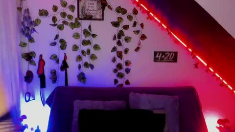 Snapshot of cata_greenn chatting on January 29, 2025, 9:50 pm Cata green model independient online show from January 29, 2025, 9:50 pm