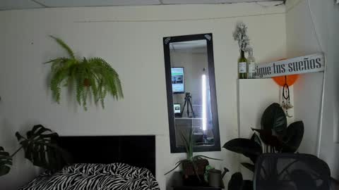 Cataina Lince online show from December 22, 2024, 11:09 pm