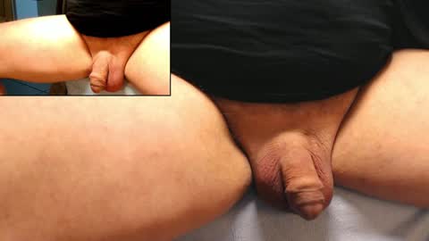 Snapshot of catlover03 chatting on February 8, 2025, 12:28 pm Mike online show from February 8, 2025, 12:28 pm