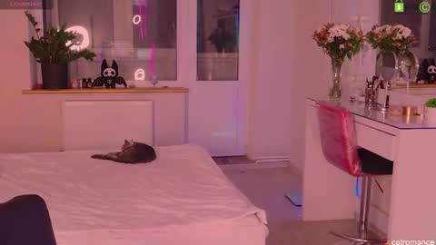 Snapshot of catromance chatting on November 21, 2025, 8:40 pm Katerina online show from November 21, 2025, 8:40 pm