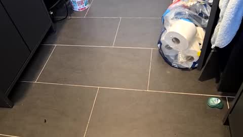 Snapshot of cazzoduroxxx92 chatting on March 8, 2025, 3:24 pm Telegram ldl123 online show from March 8, 2025, 3:24 pm