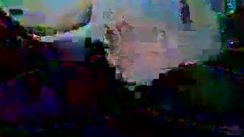 PureLeaf1990 online show from January 5, 2025, 3:32 am