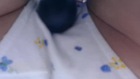 Snapshot of cbz112233 chatting on February 26, 2025, 9:27 pm ANNYANNY online show from February 26, 2025, 9:27 pm