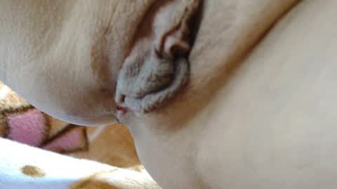 ANNYANNY online show from March 4, 2026, 3:40 pm