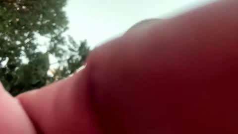 ccs13200 online show from January 6, 2026, 3:49 pm