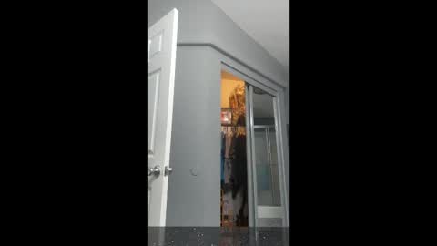 cdlisaann online show from March 15, 2026, 2:56 pm