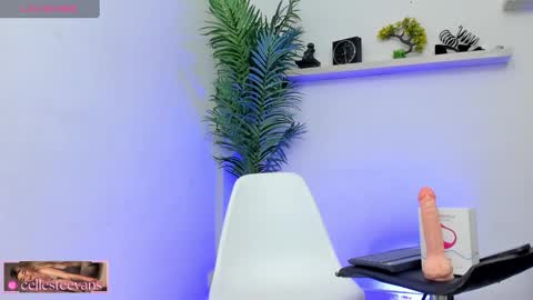 Celeste  online show from January 25, 2025, 9:04 pm