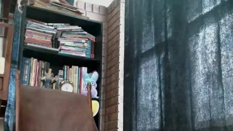 Snapshot of cguffey2284 chatting on February 18, 2025, 4:05 pm cguffey2284 online show from February 18, 2025, 4:05 pm