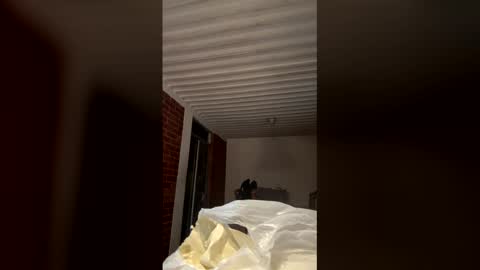    online show from January 18, 2026, 1:31 am