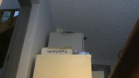 chaturbatordeluxe online show from November 17, 2025, 3:34 am