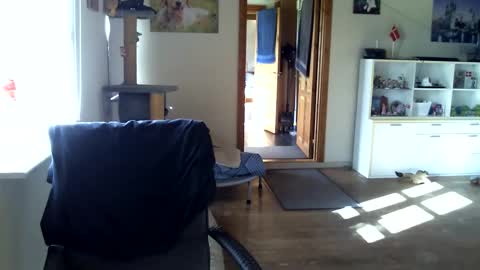 Snapshot of chefben666 chatting on October 16, 2025, 10:27 am chefben666 online show from October 16, 2025, 10:27 am