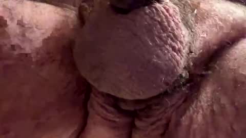 Chef online show from November 28, 2025, 9:17 pm