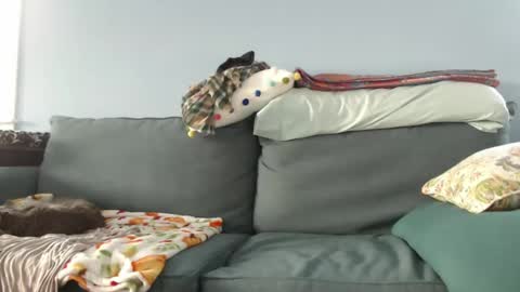 Snapshot of chelseasentra1 chatting on December 27, 2024, 7:35 pm Chelsea online show from December 27, 2024, 7:35 pm