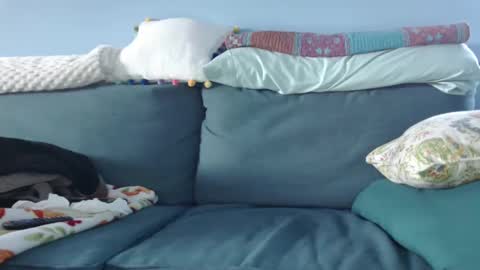 Snapshot of chelseasentra1 chatting on January 15, 2025, 8:37 pm Chelsea online show from January 15, 2025, 8:37 pm