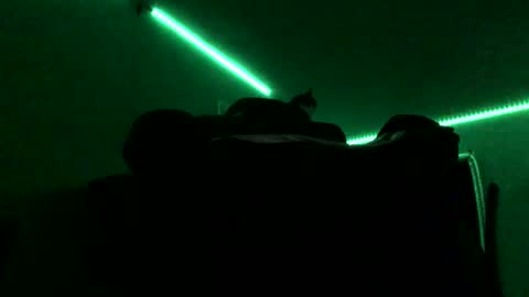 Snapshot of chenovich chatting on November 16, 2025, 9:04 am chenovich online show from November 16, 2025, 9:04 am