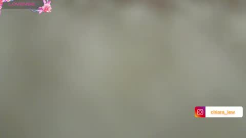 Chiara Lovense is active Pvt open online show from December 12, 2024, 5:48 pm