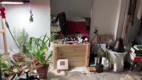 judith online show from February 3, 2025, 11:36 pm