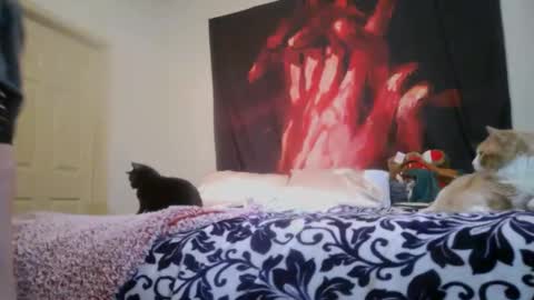 ChinaCove online show from February 16, 2026, 12:40 am